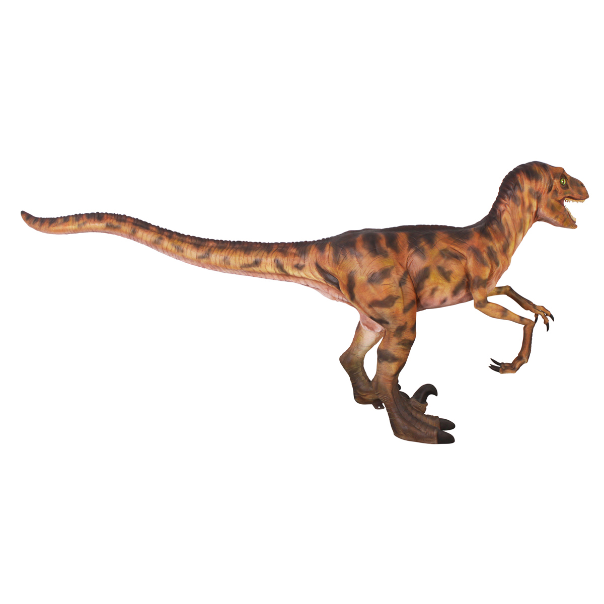 Image Thumbnail for Dt Deinonychus Dinosaur Statue